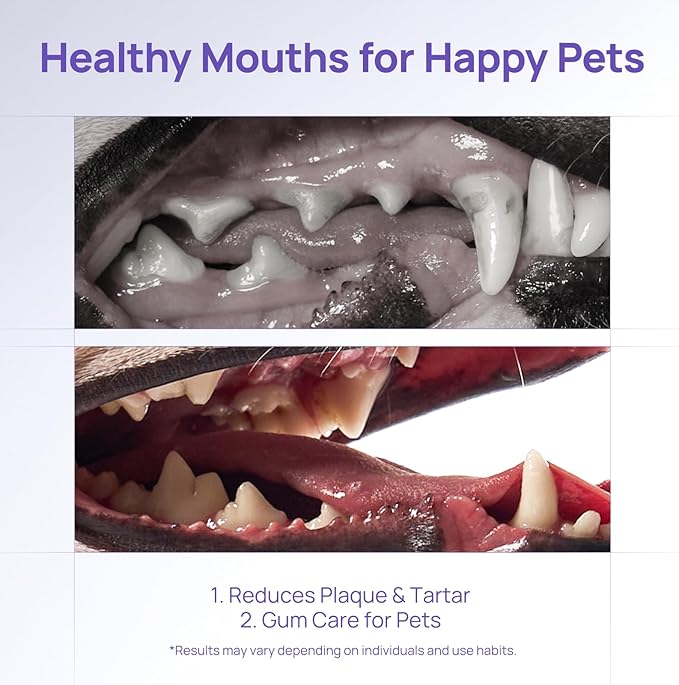 HICC PET Teeth Cleaning Gel for Dogs and Cats, Vet-Recommended Dog Dental Care Toothpaste Alternative for Breath Freshener, Ggingivitis Treatment, Prevent Infection, Plaque & Tartar Remover, 2 Fl Oz