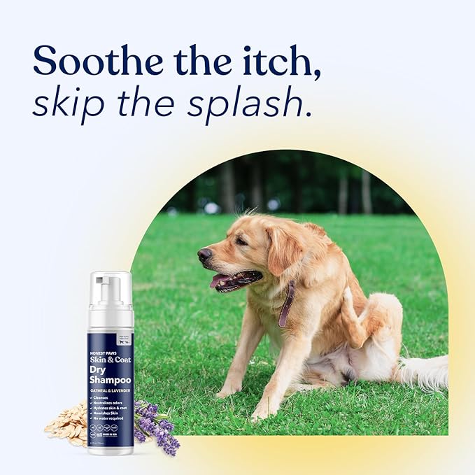 Honest Paws Dog Dry Shampoo - Waterless No Rinse Foaming Formula Reducing Itch Cleanse Hydrate Nourish Dry Skin and Smelly Coat Help Decrease Odor Shedding and Allergies - Oatmeal & Lavender - 6.3 oz