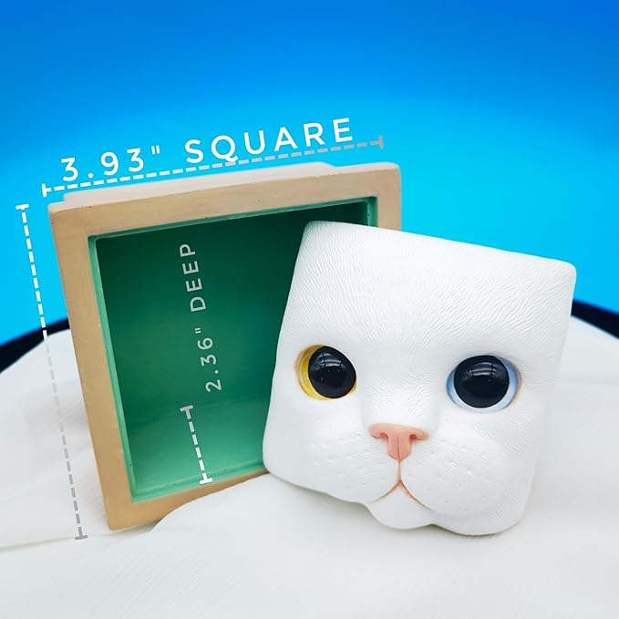 Cat Keepsake Box Memory Decorative Box Cat Portrait Gifts For Pet Owners And Pet Lovers Holds Jewelry Cat's Whiskers Fur and as a Memory Box (White Cat)