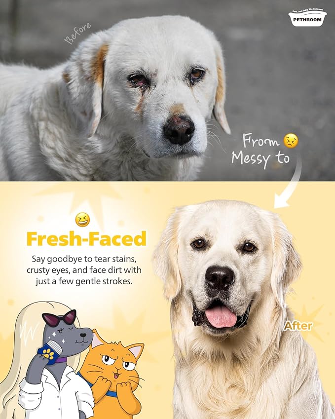 [PETHROOM] Professional Eye Comb for Pets | Stainless Steel Tear Stain Remover for Cats & Dogs | Gentle Round-Head Grooming Tool | Compact & Portable for Eye Gunk Removal