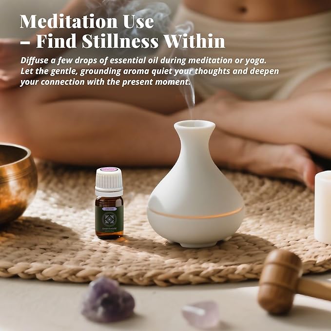 100% Pure & Undiluted Essential Oils Set – Premium Natural Aromatherapy Oils for Diffuser, Bath, DIY Skin Care & Relaxing Mood, 8×5ml Frankincense, Lavender, Rosemary & More, Holiday Gifting