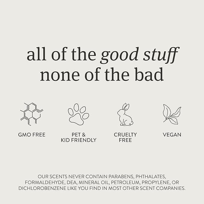 Drift Metal Vent Clip 3x Refills - Car Air Freshener - Scent Diffuser for Car - Metal Odor Eliminator - Grove