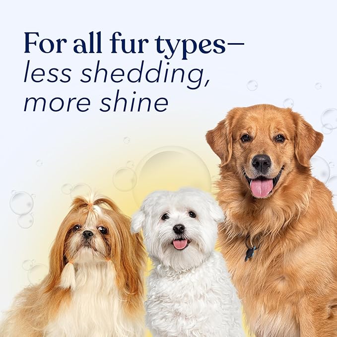 Honest Paws Dog Shampoo and Conditioner - Premium Dog Wash for Allergies and Dry, Itchy, Moisturizing for Sensitive Skin - Sulfate Free, Plant Based, All Natural -16 Fl Oz