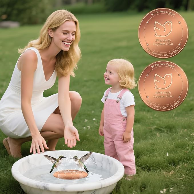 2Pack Bird Bath Copper Disk, 99.99% Pure Copper Cleaning Disc with Four-Point Support, Physical Safe Water Cleaner to Help Maintain Clearer Water for Outdoor Birdbaths & Bowls, All-Season Use