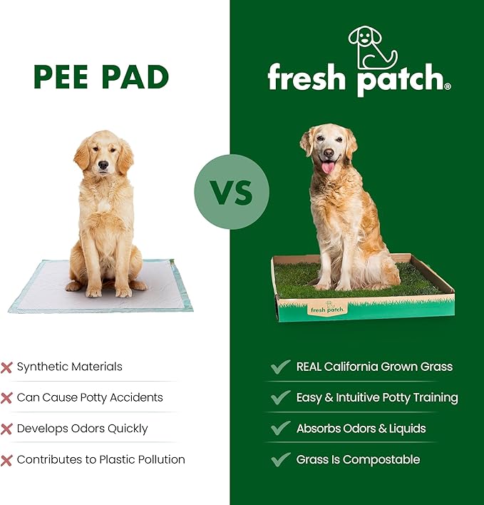 Fresh Patch Real Grass Patch for Dogs, Cats, and Extra Large Pets 30 Pounds and Above – Disposable Pet Grass Pee Pads – Indoor and Outdoor Potty Training Mat (24 Inches x 48 Inches)