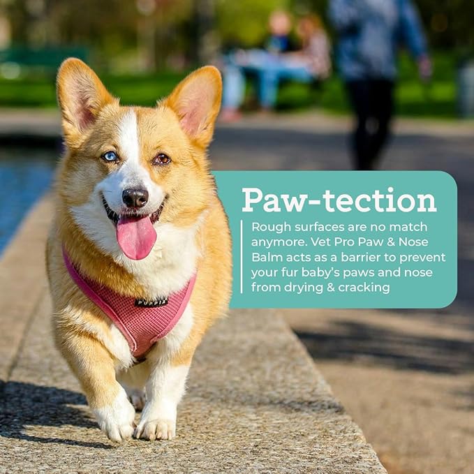 VetPro Complete Paw Balm for Dogs and Cats, 2 Ounces, Natural Protection & Paw Soother for Dry Pads & Noses, Vet Formulated Foot Cream, Vitamin E & Aloe, Protect & Repair