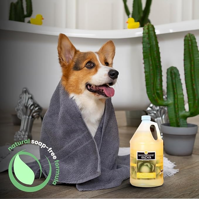 Best Shot Scentament Spa Oatmeal Body Wash, Lemon Vanilla, 1 Gallon