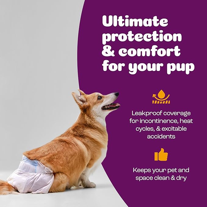 Inspire Pet Care Dog Diapers Female Dogs | Bulk Value Doggie Incontinence, Accidents, for Heat, Pee or Period and Housebreaking (Medium (96 Count))