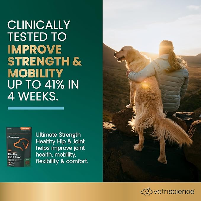 VetriScience Ultimate Strength Healthy Hip & Joint Chews, GlycoFlex Glucosamine, Chondroitin and Green-Lipped Mussel Joint Support Supplement for Dogs, Soothe Discomfort, Peanut Butter, 60 Chews