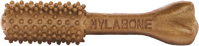 Nylabone Nutri Dent Dog Dental Chews - Natural Dog Teeth Cleaning & Breath Freshener - Dental Treats for Dogs - Filet Mignon Flavor, Large (20 Count)