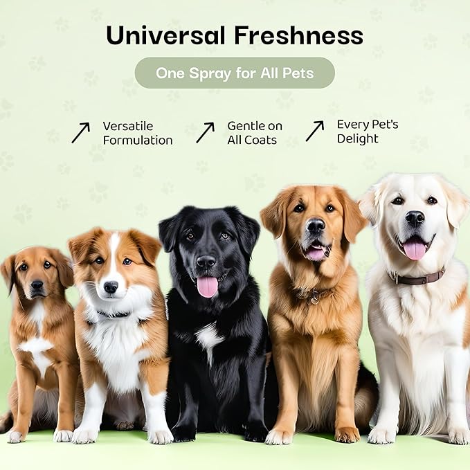 605Products | Premium Dog Cologne and Odor Eliminator - Long Lasting Dog Perfume Made with Essential Oils - Spray Deodorant for Smelly Dogs, Dog Grooming Spray 3pack (Show Dog, 2oz Spray Bottles)