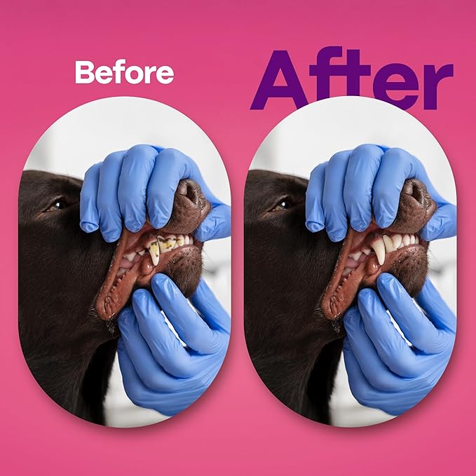 DOCO Dog Teeth Cleaning Wipes - Dog Tooth Brushing Kit, Remove Plaque & Tartar, Dental Freshen Breath, No Rinse, Easy Pet Tooth Cleaning Kit for Oral Care, Ideal for Cat Owners - Bacon Flavor, 50 ct.