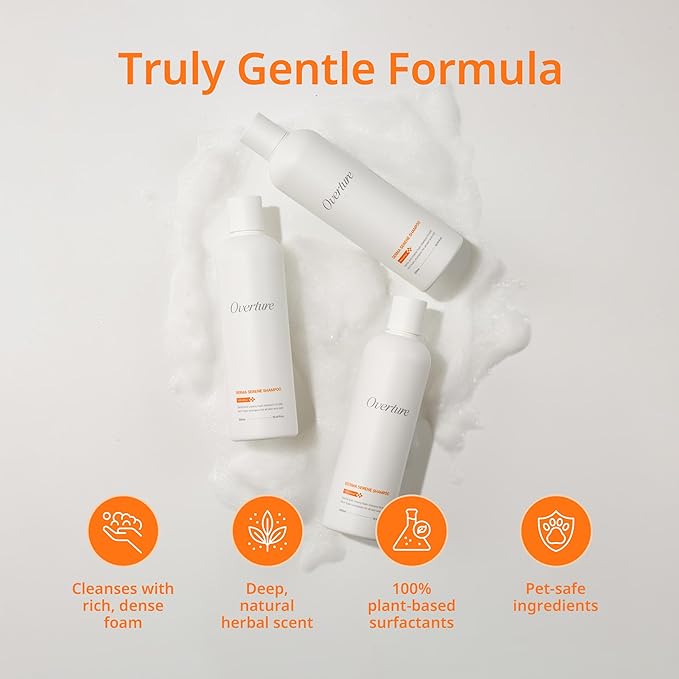 ODAC Overture Derma Serene Pet Shampoo, Gentle, Skin Friendly with Winter Cherry Root & Korean Patchouli, Rich Lather & Herbal Freshness, for Dogs & Cats, 10.14 fl oz Korea Beauty Pet Skincare