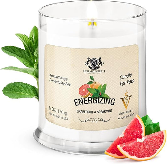 Pet Odor Eliminator Candle Grapefruit and Spearmint Scented Candle, Calming Candles Aromatherapy for Home Decor, Soy Wax Pet Candles Odor Eliminator for Animal Lover, Aromatherapy by Gerrard Larriett
