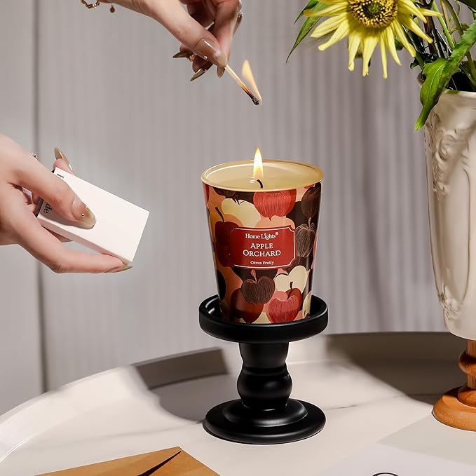 HomeLights Soy Wax Candles for Home Scented, 1-Wick Candles in Apple Orchard Scented, Aromatherapy Candles Gift for Parties, Relaxing, Eclectic Mixed Styles, 6.7oz