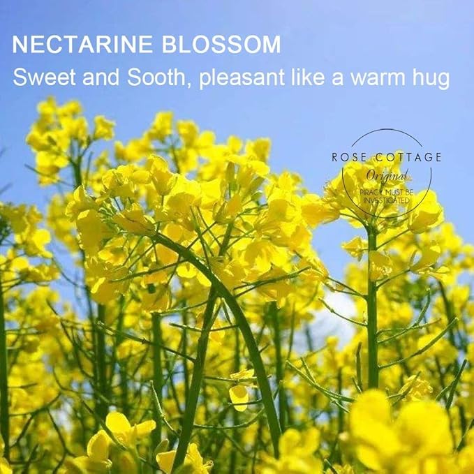 ROSE COTTAGE Large 12 Packs Apricot Blossom Hanging Closet Air Freshener Scented Sachets Long Lasting Smell Goods