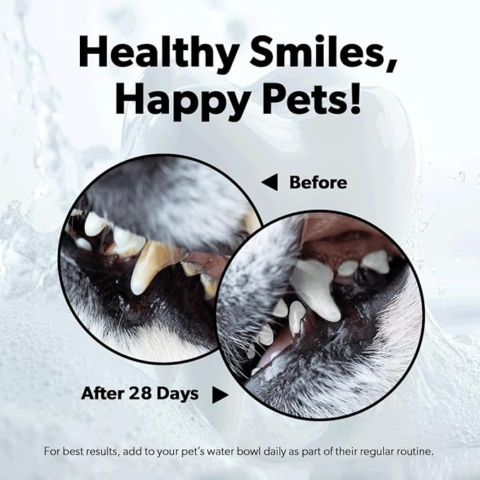 Pet Kiss Plaque and Tartar Water Additive Oral Care for Pets, 8-Ounce