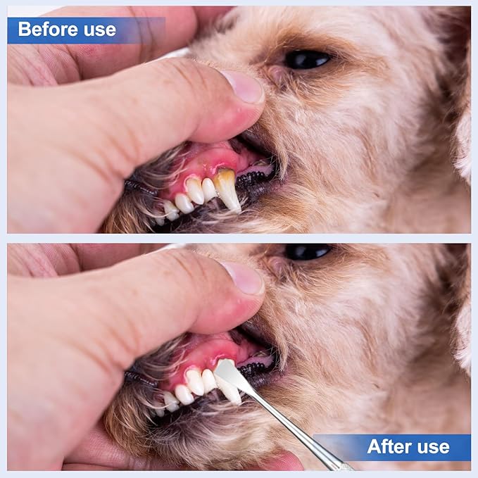 4 Pack Stainless Steel Pet Dental Tools for Dogs and Cats, Professional Tartar Remover Scraper Kit for Teeth Cleaning, Plaque and Calculus Control, Oral Care Hygiene for Home or Vet Use