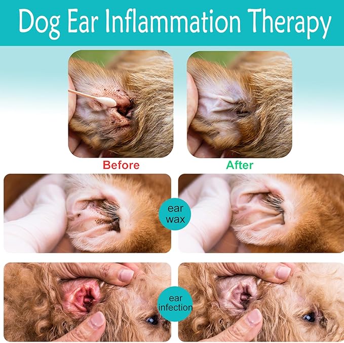 2Pack Advanced Dog Ear Cleaner, Dog Ear Cleaning Solution-Pet Ear Rinse Gently & Efficiently Dog Ear Wash-Cat & Dog Ear Clean-with 20 Cotton Swabs & 20 Finger Covers