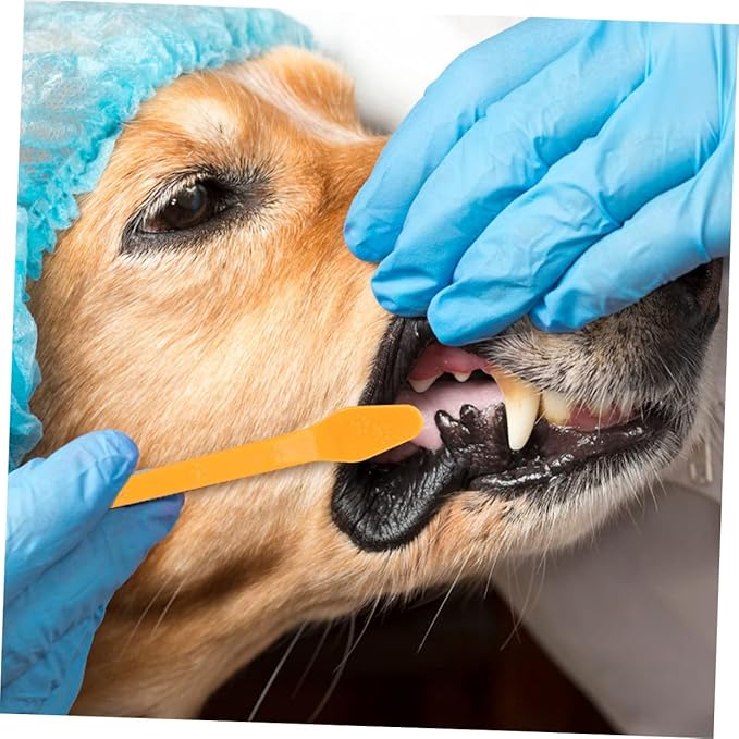 8pcs Dual-Head Dog Toothbrushes Set Soft Bristle Oral Care for Dogs Puppy Toothbrush Ergonomic Handle Dental Hygiene Kit for Small and Large Breeds