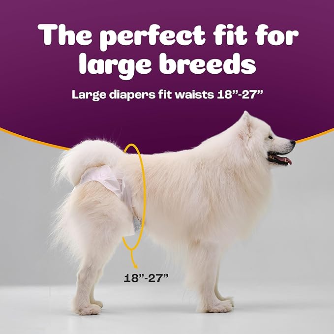 Inspire Pet Care Dog Diapers Female Dogs | Bulk Value Doggie Incontinence, Accidents, for Heat, Pee or Period and Housebreaking (Large (60 Count))
