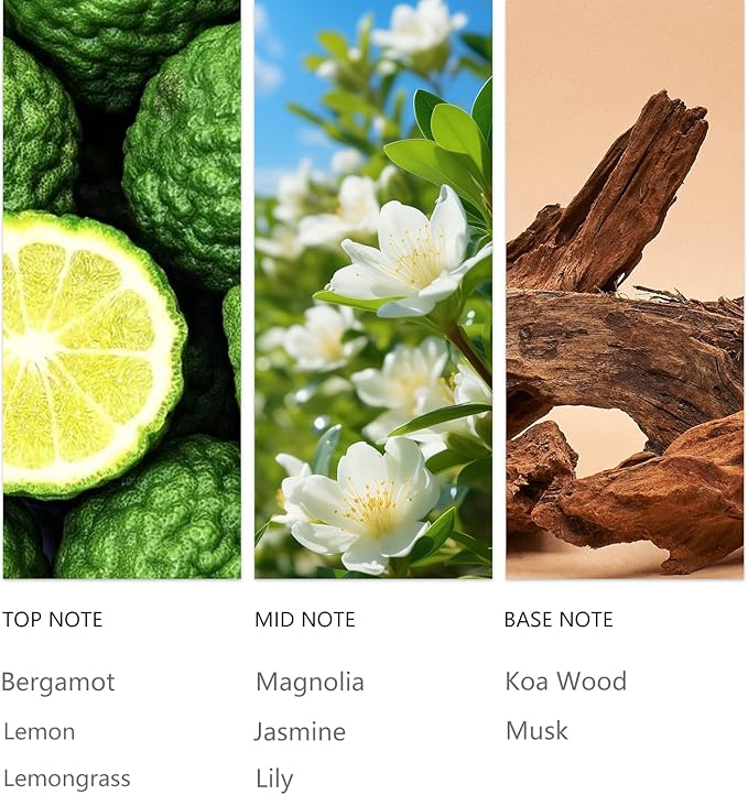 Hotel Bergamot Essential Oil 20ML Sampler Waterless Scent Oil for Cold Air Diffusers, Luxury Aroma Fragrance Oils for Home, Spa&Office-Long Lasting Aromatic Oils