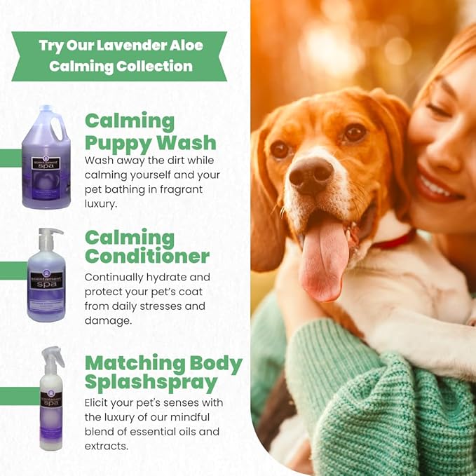 Best Shot Scentament Spa Calming Body Wash, Lavender Aloe, 1 Gallon