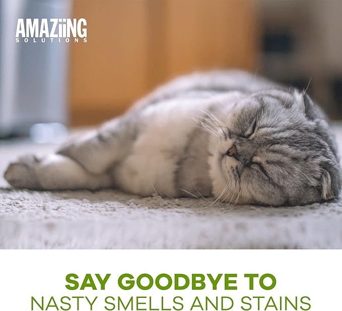 Pet Carpet Shampoo - Carpet Cleaner Solution for Carpet Cleaner Machine, Urine Smell & Stain Remover, Pet Urine Enzyme Cleaner, Carpet Shampoo Solution, Carpet Shampooer, 1 Gallon