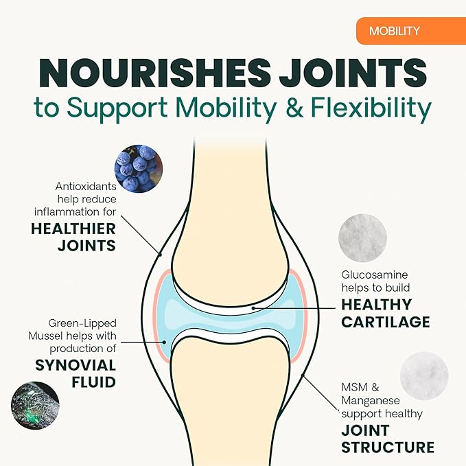 VetriScience Ultimate Strength Healthy Hip & Joint Chews, GlycoFlex Glucosamine, Chondroitin & Green Lipped Mussel Joint Support Supplement for Dogs, Soothe Joint Discomfort, Peanut Butter, 120 Ct