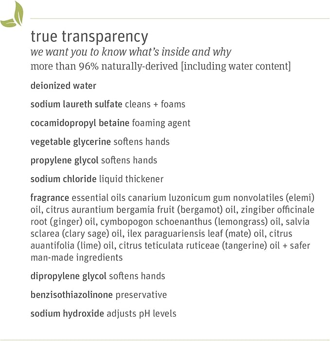 Grab Green Liquid Dish Soap, 16 Ounce (Pack of 3), Tangerine Lemongrass Scent, Biodegradable, Plant and Mineral Based, Removes Grease, Gentle on Hands