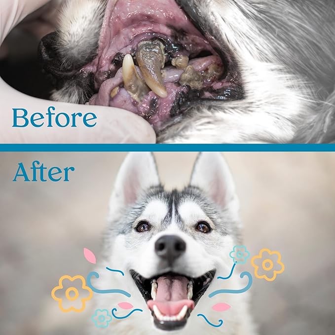 Lively Pet Breath & Dental Health Water Additive