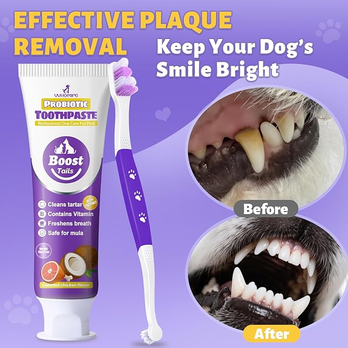 Premium Dog Oral Care Kit - Natural Coconut Chicken Flavored Toothpaste,Dual Head Toothbrush and Finger Toothbrush for Dogs,Plaque Prevention,Tartar Control.2.46oz(Pack of 1)