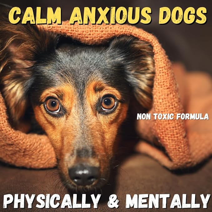 KELEBS Dog Arnica Massage Oil | Pain Relief for Muscles, Arthritis, HIPS, and Joints | for Active & Senior Dogs | Organic Essential Oil Blend with Arnica | Glass Bottle