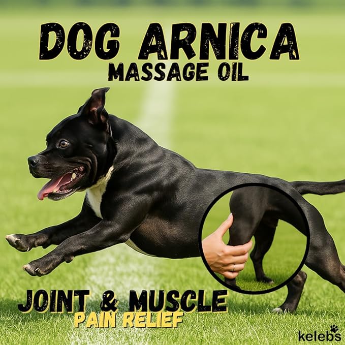 KELEBS Dog Arnica Massage Oil | Pain Relief for Muscles, Arthritis, HIPS, and Joints | for Active & Senior Dogs | Organic Essential Oil Blend with Arnica | Glass Bottle