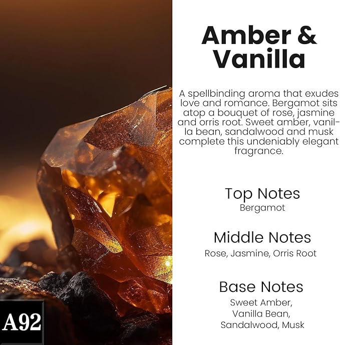 HoogaLife Car Air Freshener Diffuser 2 Pack Hanging Air Freshener Diffuser - Amber Vanilla Fragrance Oil Air D iffuser for Car, 45+ Days Long Lasting Fragrance Made in USA C ar Air Fresheners (A92)