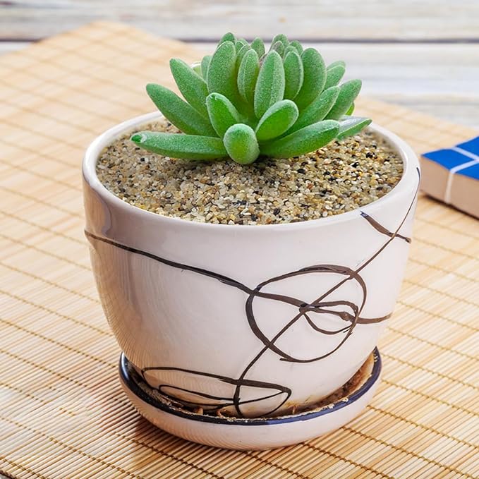 10 lbs Aquarium Sand, 0.6-1.2 mm Aquarium Substrate for Freshwater Fish Tank. Decorative River Rocks Gravel for Fish Tank, Plants Potted, Fire Pits, Candle, Vase and Crafts