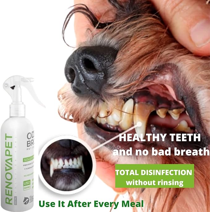 Renovapet Organic Oral Care Solution