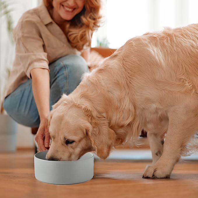 6'' Ceramic Dog Bowl - 30Oz Classic Dogs Food & Water Bowl for Small and Medium Breed Dogs, Heavy Duty Non-Slip Dog Dishes, Food Grade Stoneware Pet Bowl, Dishwasher & Microwave Safe, Grey