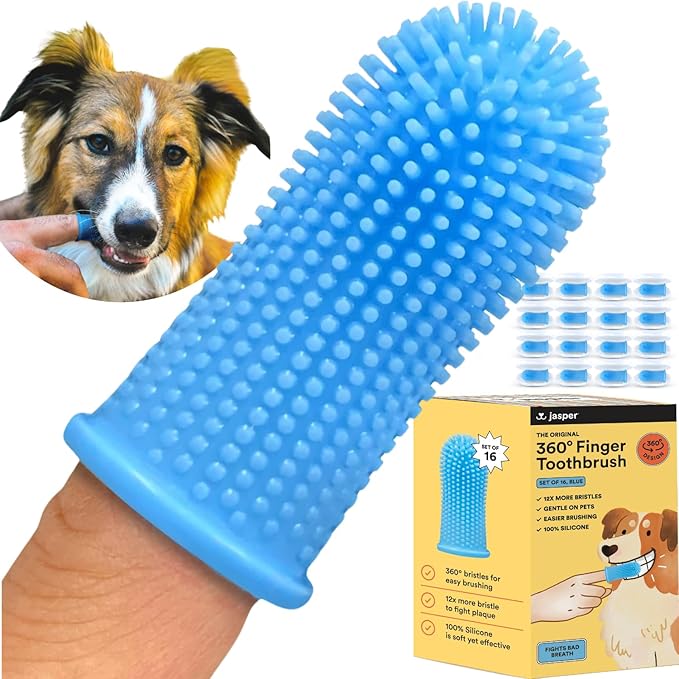 Jasper Dog Toothbrush, 360 Degree Pet Tooth Brushing Kit, Cat Toothbrush, Canine Dental Care & Teeth Cleaning Kit, Pet Finger Tooth Brush, Use with Dog Toothpaste, 16-Pack Blue