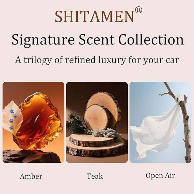 Car Air Freshener, Wood Air Freshener, Car Odor Eliminator for Visor Clip, Variety Scent Refill, Long Lasting - CLIP INCLUDED (Amber-Open Air-Teak)