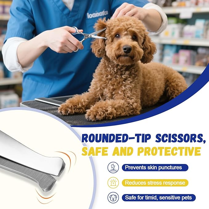 Dog Ear Hair Removal Kit - Ear Powder,Blunt Tip Grooming Scissors&Tweezers Set - Safe Hair Plucking Tool for Dogs,Ear Cleaner for Itching,Infection Treatment for Poodles, Doodles