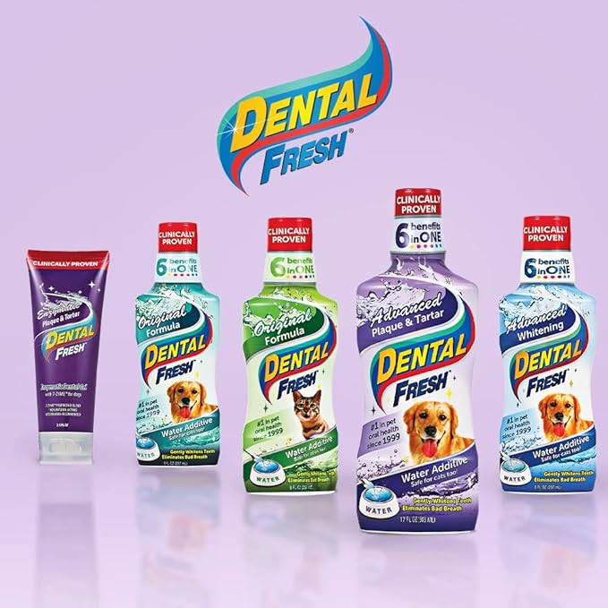 Dental Fresh Advanced Plaque and Tartar Water Additive, 32oz – Dog Teeth Cleaning Formula to Freshen Breath and Improve Cat & Dog Dental Care