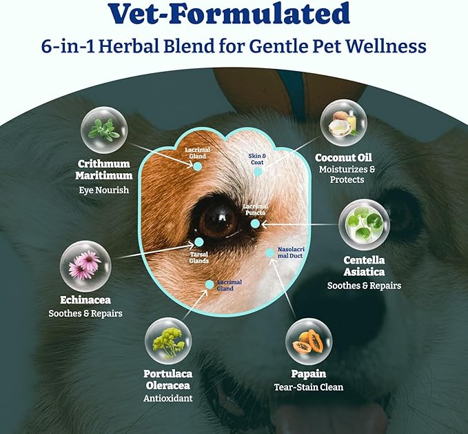 Dog Eye Wipes for Tear Stain Remover – 120 Pet Eye Wipes with Herbal Complex, Dual-Texture Pads for Dogs & Cats, Clean Discharge & Crust, Soothe Eyes, Biodegradable, Vet-Approved, Coconut-Scented