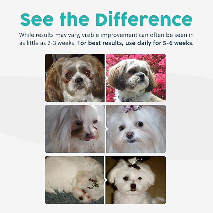 Tear Stain Remover for Dogs and Cats | Natural Supplement Suitable for All Breed Types | Pet Tear Stain Remover Powder | Made with Natural Ingredients | Beef Flavored - 6 Pack