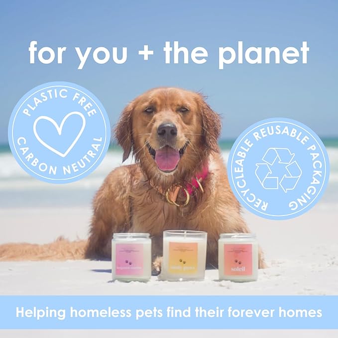 Harvest Howls | Pet Friendly Candle | Soy-Free Coconut Apricot Wax | Clean Burning | Non-Toxic | Veterinarian Approved | Pet Odor Eliminator | Air Freshening Scented Candle | 9 oz