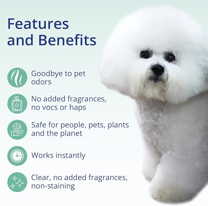 OdorXit Odor Eliminator Concentrate (4oz) + Magic Air Odor Neutralizer Spray (8oz) – Natural & Safe Odor Removal for Pets, Home & On-the-Go