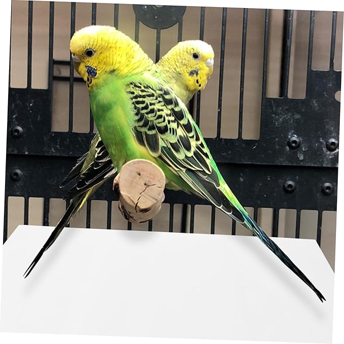 100PCS Bird Cage Liner Paper Disposable Parrot Cage Liners Absorbent Bird Paper Mats for Non-Toxic