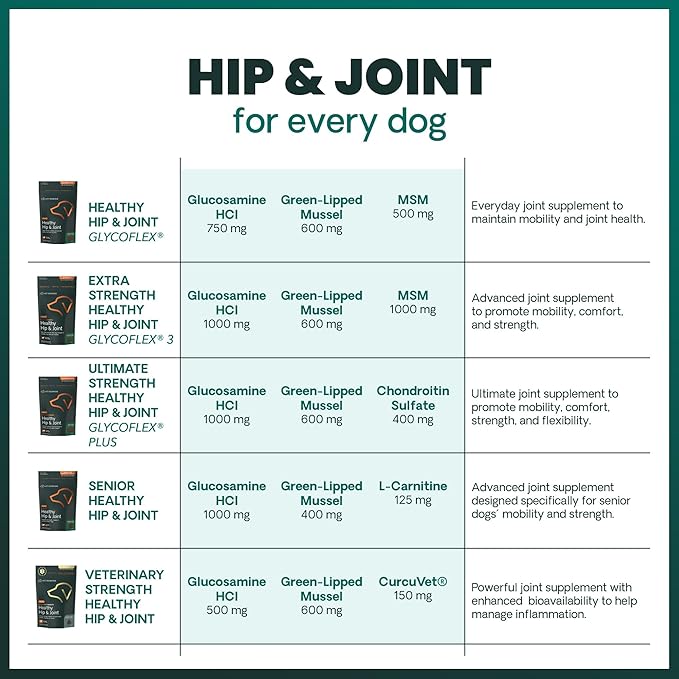 VetriScience Ultimate Strength Hip & Joint Supplement for Dogs, GlycoFlex Plus – MSM, Chondroitin & Green-Lipped Mussel Chews for Mobility, Flexibility, Comfort & Support, Chicken Flavor, 120 Cnt