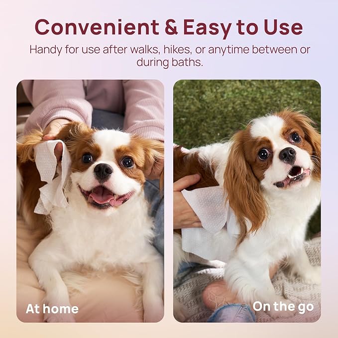 HICC PET Wipes for Dogs and Cats, Vet-Recommended Pets Cleaning Wipes, Deodorizing Hydrating, Nourishes Smoothes Fur, Fermented Coconut Oil Grooming Paws Body and Butt, Horse Skin Coat, Rose, 100pcs