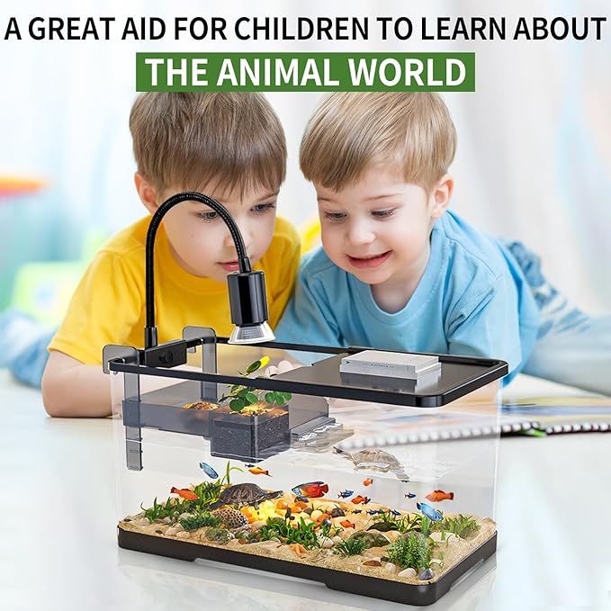 (Tank + Light + Filter + Filter Balls) Turtle Tank Kit, Turtle Tank Starter Kit,Bottom Drainage, Multi-Function Areas for Turtles, Crabs,Fishes, Amphibians,Reptiles. (21.65 × 12.28 × 12.28 Inch)